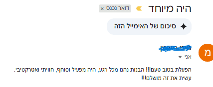 המלצה 13